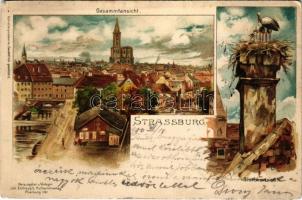 1900 Strasbourg, Strassburg; Gesammtansicht, Storchennest / general view, stork nest. Art Nouveau, litho (EB)