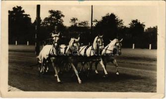 1955 Budapest, Országos Mezőgazdasági Kiállítás. Képzőművészeti Alap Kiadóvállalat (EK)