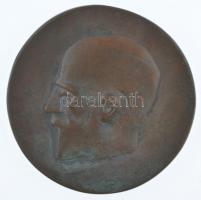 DN Dr. Scharl Pál emlékérem kétoldalas, öntött bronz emlékérem (75-76mm) T:2 patina