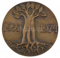 Asszonyi Tamás (1942- ) 1974. Mecsekvidéki Intéző Bizottság / 1959-1974 kétoldalas, öntött bronz emlékérem (91-93mm) T:1-