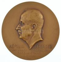 Kisfaludi Stróbl Zsigmond (1884-1975) 1925. "Grósz Emil" egyoldalas bronz plakett. "AEMILIO DE GRÓSZ XXV ANNOS PROFESSORI DISCIPULI ET AMICI MCMXXV" (80mm) T:1- HP 4914.