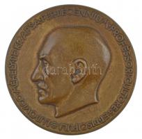 Reményi József (1887-1977) 1925. "Méhely Lajos" kétoldalas bronz emlékérem. "LUDOVICO MÉHELY DE KISAPSA PER DECENNIUM PROFESSORI CULTORES ET DISCIPULI / FELIX QUI POTUIT RERUM COGNOSCERE CAUSAS" (73mm) T:1-  HP 4370.