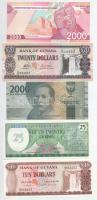 5db-os vegyes külföldi bankjegy tétel, közte Guyana, Indonézia, Suriname, Üzbegisztán T:I,I- 5pcs of mixed foreign banknote lot, in it Guyana, Indonesia, Suriname, Uzbekistan C:UNC,AU