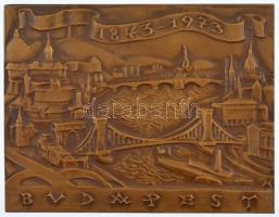 Madarassy Walter (1909-1994) 1973. &quot;Budapest 1873-1973&quot; egyoldalas, öntött bronz plakett dísztokban (78x101mm) T:1