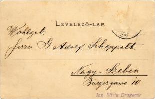 1902 Szászsebes, Mühlbach, Sebesul Sasesc, Sebes; Siculorumgasse / Székely utca, gyógyszertár, Adolf...