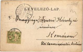 1903 Nagykomlós, Comlosu Mare; nyaraló / villa. photo