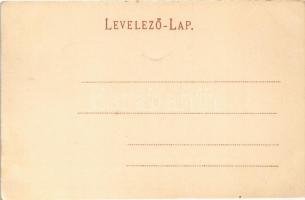 Léva, Levice; látkép, Kegyes-rendi főgimnázium, címer. Dukesz Lipót kiadása / general view, grammar ...