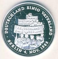 NSZK 1990. "Német egység" Ag 20,2g T:PP