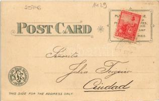 1904 Saint Louis, St. Louis; World's Fair. Missouri State Building. Art Nouveau, silver postcar...