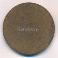 Reményi József (1887-1977) 1976. "Országos Korányi TBC és Pulmonológiai Intézet - 1901-1976&quo...