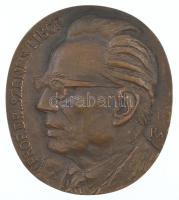 Kalmár Márton (1946-) DN Prof. Dr. Szenes Tibor / A Szegedi Röntgen Klinika első igazgatójának - Tanítványai és munkatársai kétoldalas, öntött bronz plakett (104x91mm) T:1-