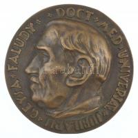 Csúcs Ferenc (1905-1999) 1946. Dr. Faludy Géza öntött bronz plakett, peremen 22-es sorszámmal GEYSA FALUDY DOCT MED UNIVERSAE JUBILARIS / MCCMXCVI - MCMXLVI (~75-76mm) T:1- ph. HV 135.