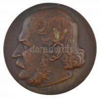 ~1960. Semmelweis Ignác Fülöp - 1818-1863 kétoldalas öntött bronz emlékérem (70mm) T:1-