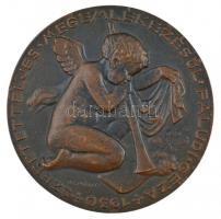 Reményi József (1887-1977) 1930. "Prof Heim Pál 1875-1929 / Szeretetteljes megemlékezésűl Falud...