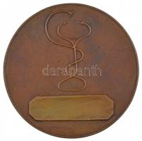 Kalmár Márton (1946- ) DN "Magyar Belgyógyász Társaság Emlékérme" kétoldalas, öntött bronz...