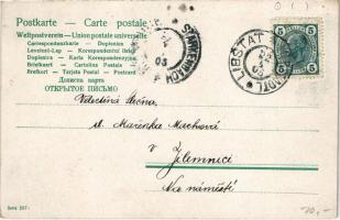 1905 Veselé Velikonoce / Easter greeting art postcard with rabbits (EK)