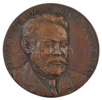 Tóth Sándor (1933-2019) 1976. Reizner János 1847-1904 Szeged történetírója egyoldalas, öntött bronz plakett (96-97mm) T:1-,2
