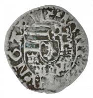 1485-1490. Denár Ag "I. Mátyás" (0,44g) T:2- 
Hungary 1485-1490. Denar Ag "Matthias ...