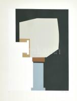 Mark (Márkus), Anna (1928-): Geometrikus kompozíció. Szitanyomat, papír, jelzett, művészpéldány E.A. jelzéssel. 45×34 cm. 1964-től rendszeresen voltak egyéni kiállításai Párizsban. 1976-ban Amerikában (Sisti Gallery, Buffalo), 1971-ben Londonban, 1974-ben Zürichben volt egyéni tárlata. Számos párizsi, németországi csoportos kiállítás mellett 1981-ben részt vett a Magyar Nemzeti Galéria kollektív tárlatán. 1982-ben szerepelt a Műcsarnok külföldön élő magyar származású művészeket bemutató kiállításán. Művei párizsi és németországi közgyűjteményekben találhatók meg. Hazai közgyűjtemények közül például a Magyar Nemzeti Galéria és a győri Xantus János Múzeum őrzi több alkotását.