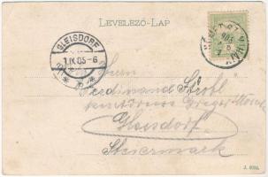 1905 Nagyszentmihály, Németszentmihály, Grosspetersdorf; utca, üzlet, Vendéglő a Zöld fához. Schey S...