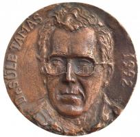 Török János (1932-1996) 1992. Dr. Süle Tamás 1992 egyoldalas, öntött bronz plakett (96-97mm) T:1-
