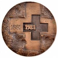 Asszonyi Tamás (1942-) 1981. 1881-1981 / 100 éves a Magyar Vöröskereszt kétoldalas bronz emlékplakett eredeti tokban (109mm) T:1