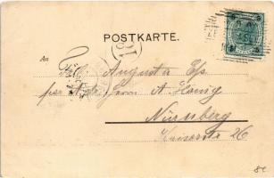 1900 Zell am See, g. d. Tauern (EK)