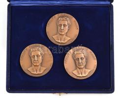 Olaszország 1981. "Publius Vergilius Maro" 3xklf bronz emlékérem eredeti tokban (50mm) T:1...