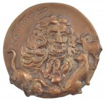 Csóka Zsuzsanna (1962-) 2011. La Fontaine kétoldalas, bronz plakett (113x111mm) T:1-