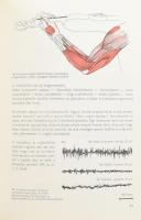 Szende Ottó - Nemessúri Mihály: A hegedűjáték élettani alapjai. Bp., 1965., Zeneműkiadó Vállalat. Ki...