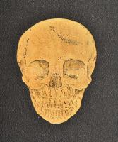 Dr. C. Heitzmann: Die descriptive und topographische Anatomie des Menschen. Wien-Leipzig, 1896, Wilh...