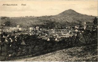 1918 Pfullingen, Total / general view