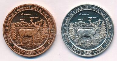 Kanada / Alberta / Wildwood 1996-1997. 2$ helyi pénz (2xklf: Junkins School District, World Coin Week) T:1,2 Canada / Alberta / Wildwood 1996-1997. 2 Dollars local money (2xdiff: Junkins School District, World Coin Week) C:UNC,XF