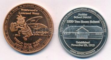 Kanada / Alberta / Wildwood 1996-1997. 2$ helyi pénz (2xklf: "Junkins School District", &q...