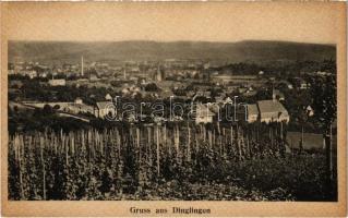 1918 Dinglingen (Lahr), general view