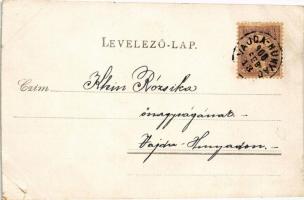 1900 Flowers. Decorated, litho (EB)