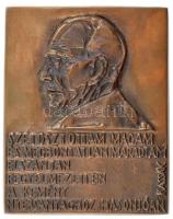 Jovánovics György (1939-) ~1970. Kassák Lajos - Szétosztottam magam és megbontatlan maradtam elszántan, fegyelmezetten a kemény nyersanyaghoz hasonlóan egyoldalas, öntött bronz plakett, hátlapona Képcsarnok matricájával (111,5x88mm) T:1-