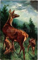 1909 Deer. T.S.N. Serie 106. (6 Dess.) s: Ludwig Fromme (kis szakadás / small tear)