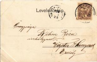 1900 Szüret után lesz az esküvő! Neuber Ráfael Mű-Kiadása S. 20. / Hungarian folklore art postcard (...