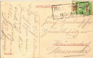 1914 Zsolna, Zilina, Sillein; park és villák / villas and park + "ZSOLNA PÁLYAUDVAR" bélye...