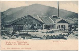 Campulung Moldovenesc, Moldvahosszúmező, Kimpolung (Bukovina, Bukowina); Dampfsäge in Sadowa / sawmill in Sadova