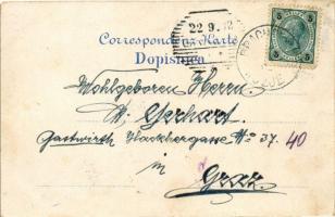 1902 Kozje, Drachenburg; (EK)