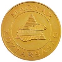 DN "Magyar Köztársaság / Magyar Polgári Védelem - A lakosság védelméért" aranyozott bronz ...