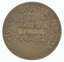 Tornay Endre (1949-) DN. "Boldog Karácsonyt" kétoldalas, öntött bronz névjegyérem (42mm) T...