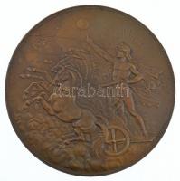 Ausztria 1885. Apolló négyesfogaton bronz emlékérem. Szign.: F. X. Pawlick (95mm) T:1-,2 ph. Austria 1885. Apollo on quadriga bronze medallion. Sign: F. X. Pawlick (95mm) C:AU,XF edge error