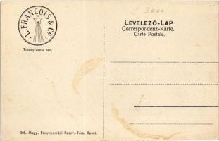 Budapest XXII. Budafok, Francois pezsgőgyár 1912-ben. Art Nouveau, floral (fl)