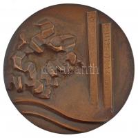 Laborcz Ferenc (1908-1971) 1970. 1945-1970 emlékére XVII. ker kétoldalas, öntött bronz emlékérem hátoldalán gravírozva, dísztokban, adományozási okirattal (77mm) T:1-