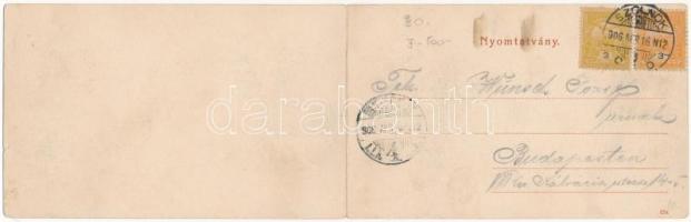 1906 Szolnok, Tisza part, faúsztatás, templomok, zsinagóga. Két részes kinyitható panorámalap