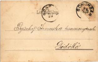 1899 (Vorläufer) Budapest XXIII. Soroksár, Takarékpénztár, Fiume Kávéház. Hartenstein E. kiadása (EK...