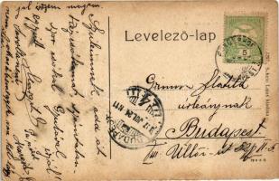 1907 Martonvásár, Dreher Antal kastélya. Schein Lajos 1297. (W.L. ?) (EK)